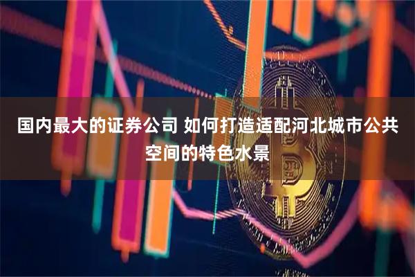 国内最大的证券公司 如何打造适配河北城市公共空间的特色水景
